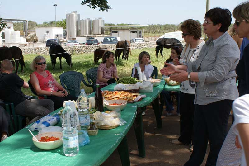 lunch on the farm